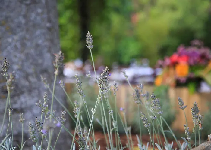 Podere La Miniera Relax & Food