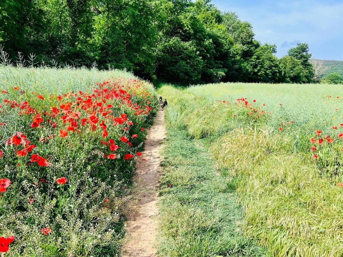 Bed & Breakfast Podere La Miniera Relax & Food Siena