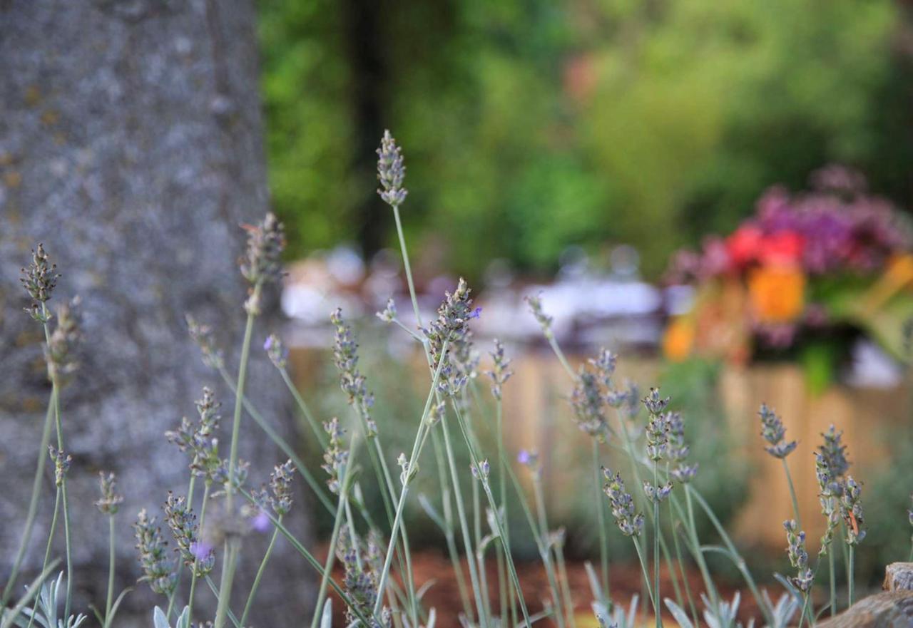 Bed & Breakfast Podere La Miniera Relax & Food